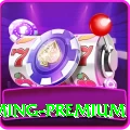 N999 - Gaming Premium